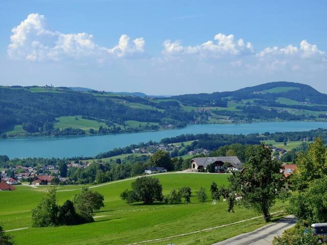 Wunderschoene Ferienwohnung Mit Seeblick Целль-ам-Мос Екстер'єр фото